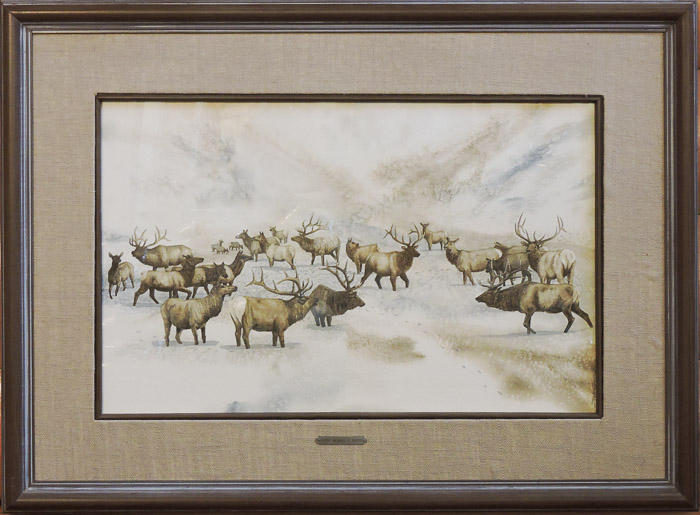“Elk Herd” - The Gallery of Artist, Michael G Booth